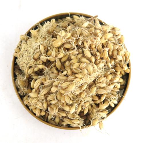 生麦芽5斤免邮麦芽大麦芽麦牙500g克中药材初级农产品