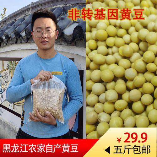 黑龙江自家种植非转基因黄豆,五斤包邮,初级农产品