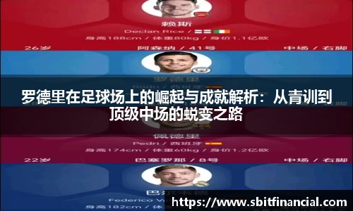 罗德里在足球场上的崛起与成就解析：从青训到顶级中场的蜕变之路